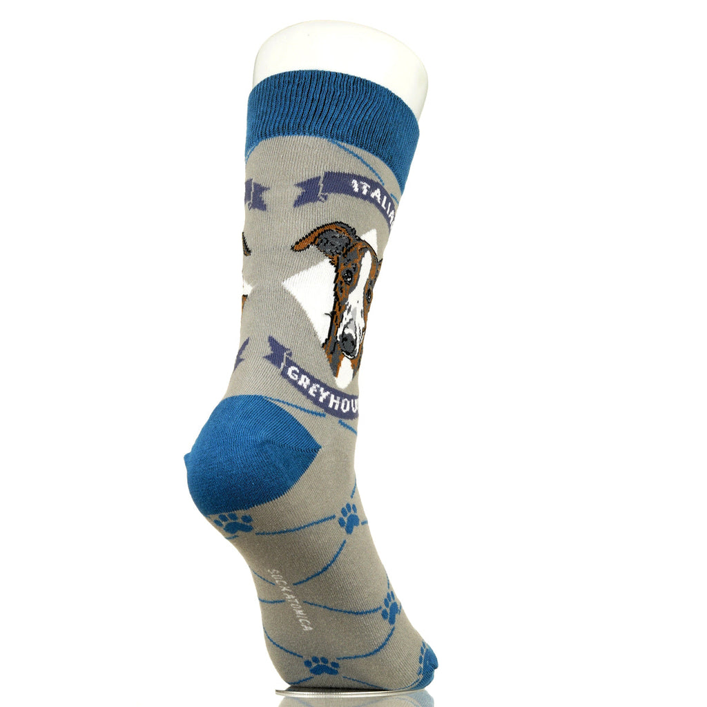 Italian Greyhound | Argyle Pups