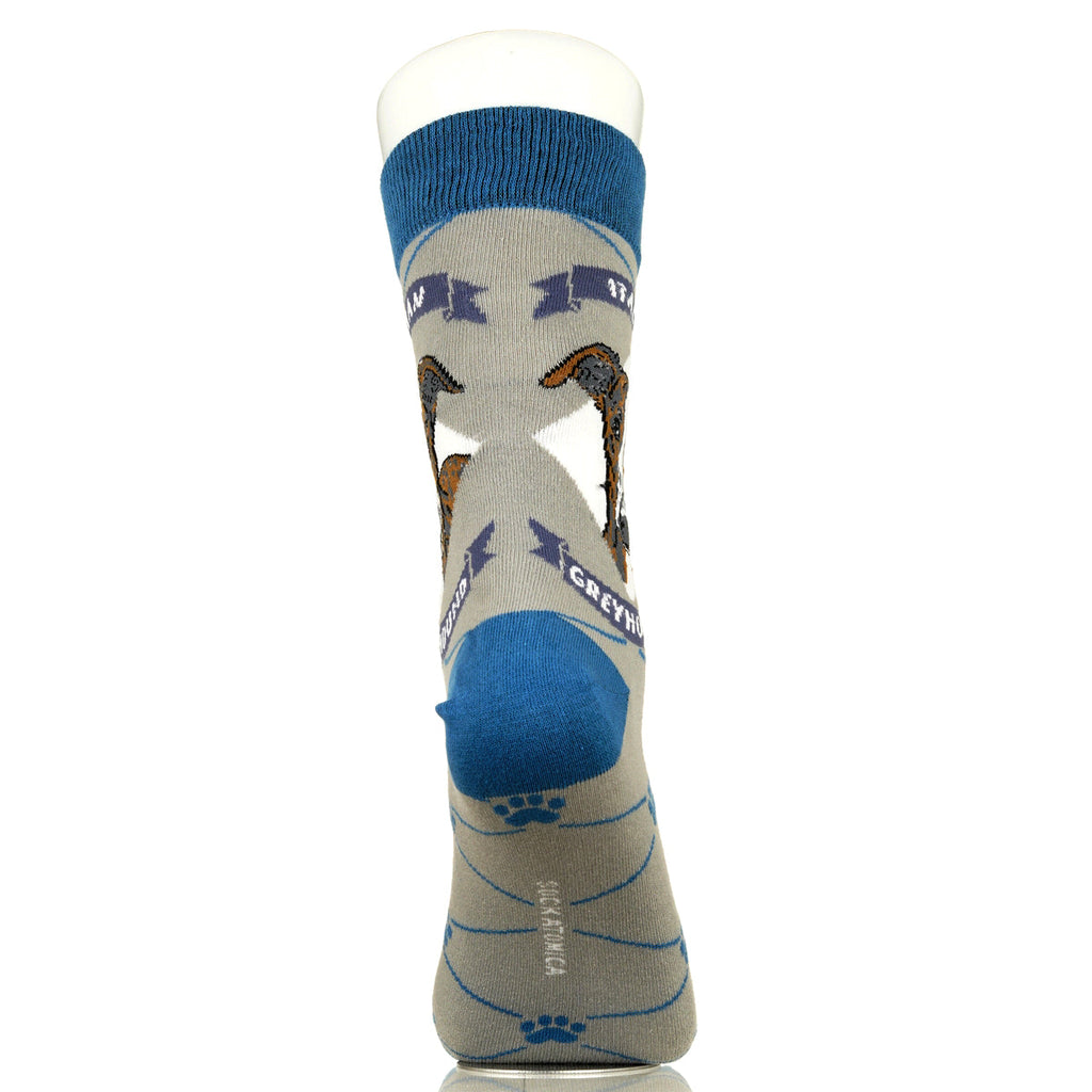 Italian Greyhound | Argyle Pups