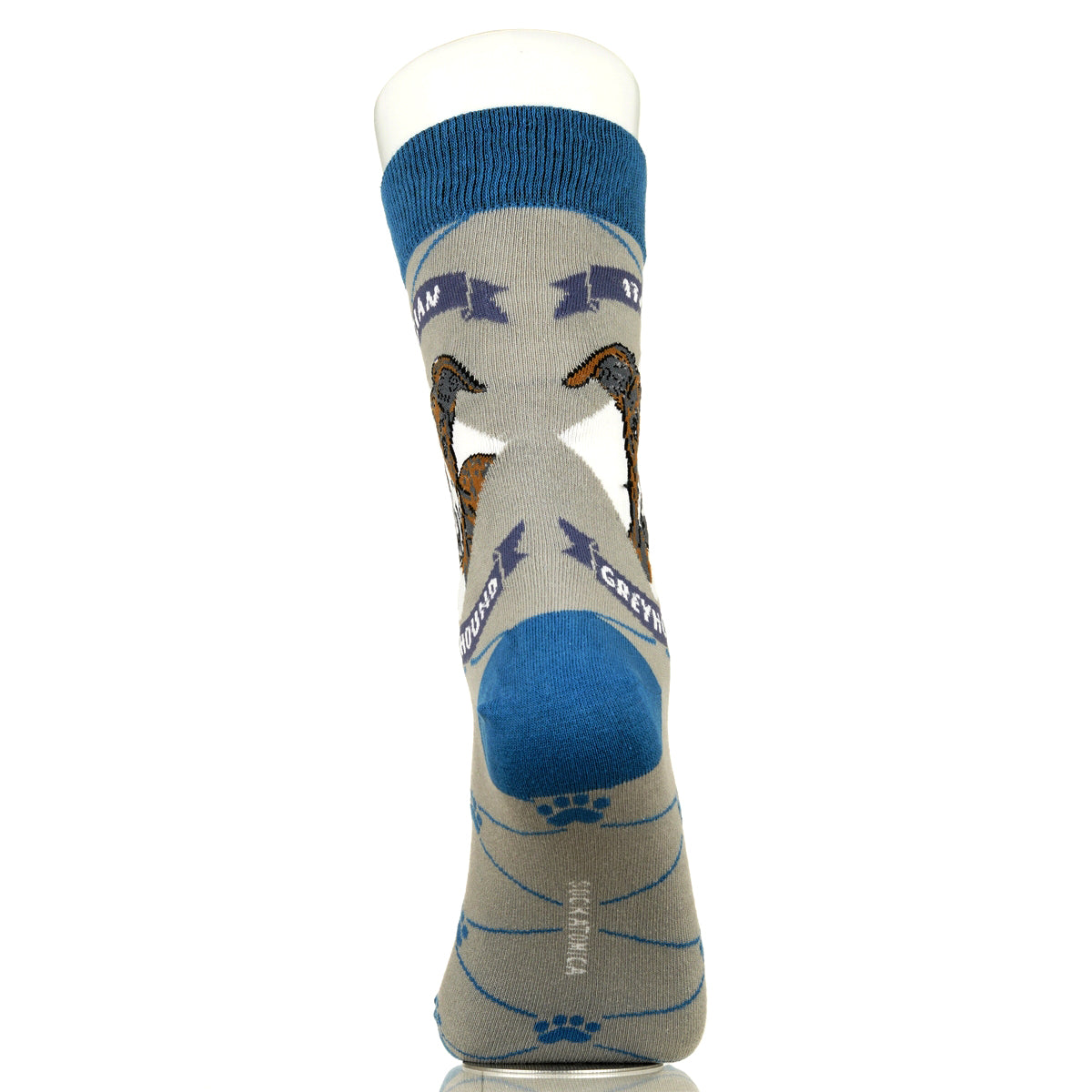 Italian Greyhound | Argyle Pups