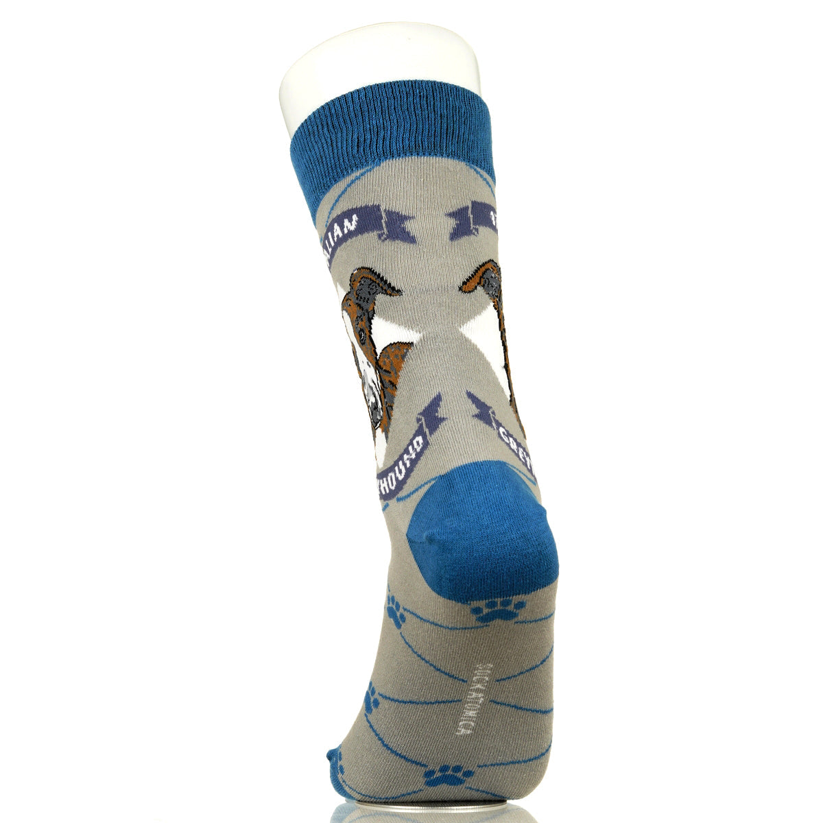 Italian Greyhound | Argyle Pups