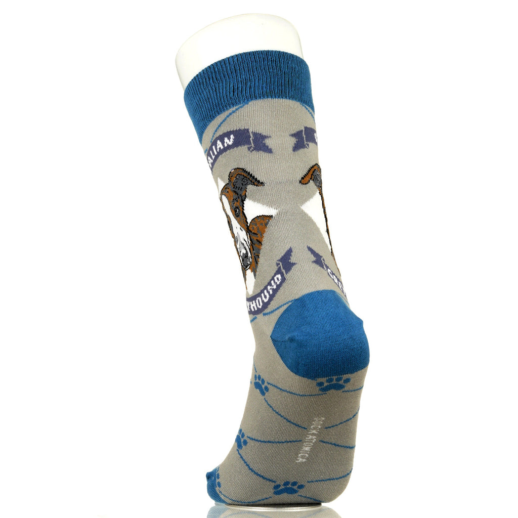 Italian Greyhound | Argyle Pups