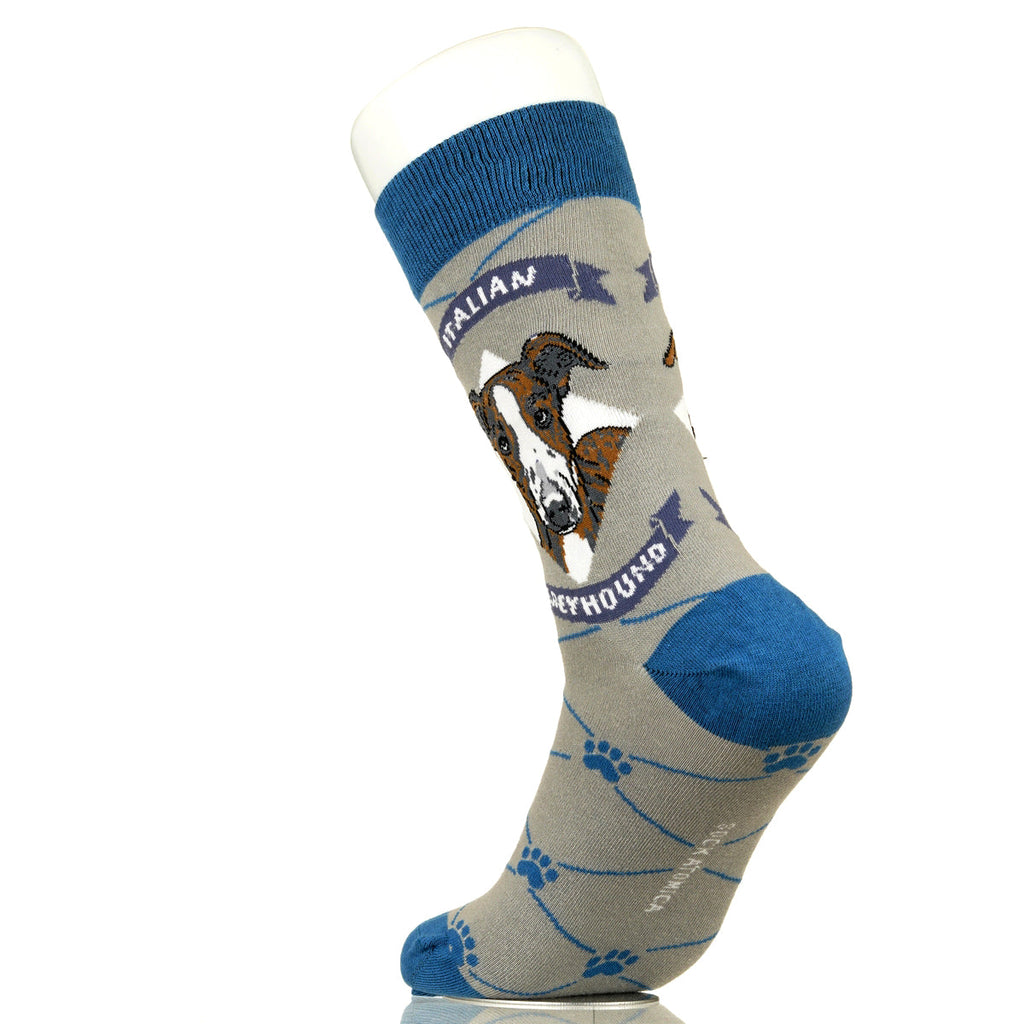 Italian Greyhound | Argyle Pups