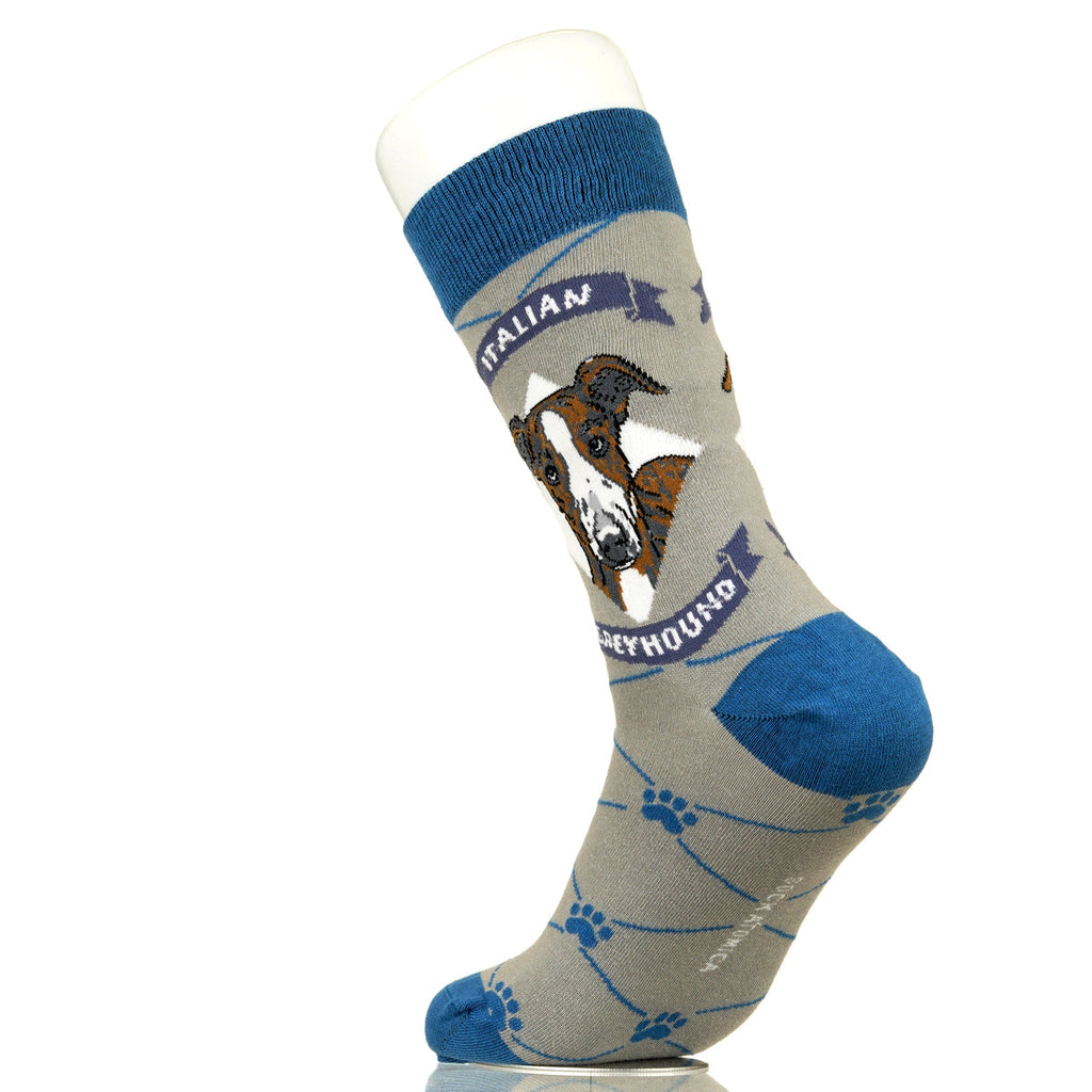 Italian Greyhound | Argyle Pups