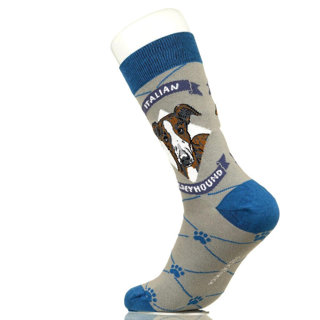 Italian Greyhound | Argyle Pups