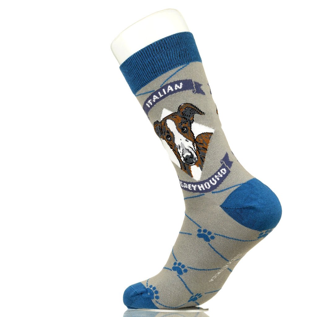 Italian Greyhound | Argyle Pups