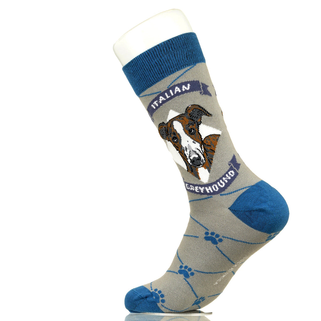 Italian Greyhound | Argyle Pups