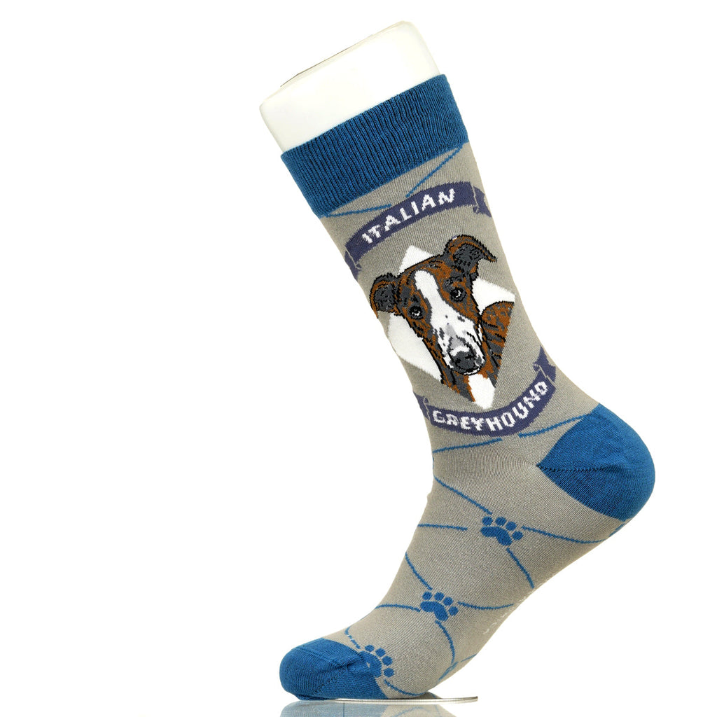 Italian Greyhound | Argyle Pups