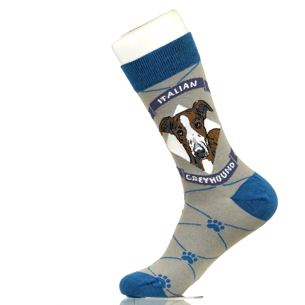 Italian Greyhound | Argyle Pups