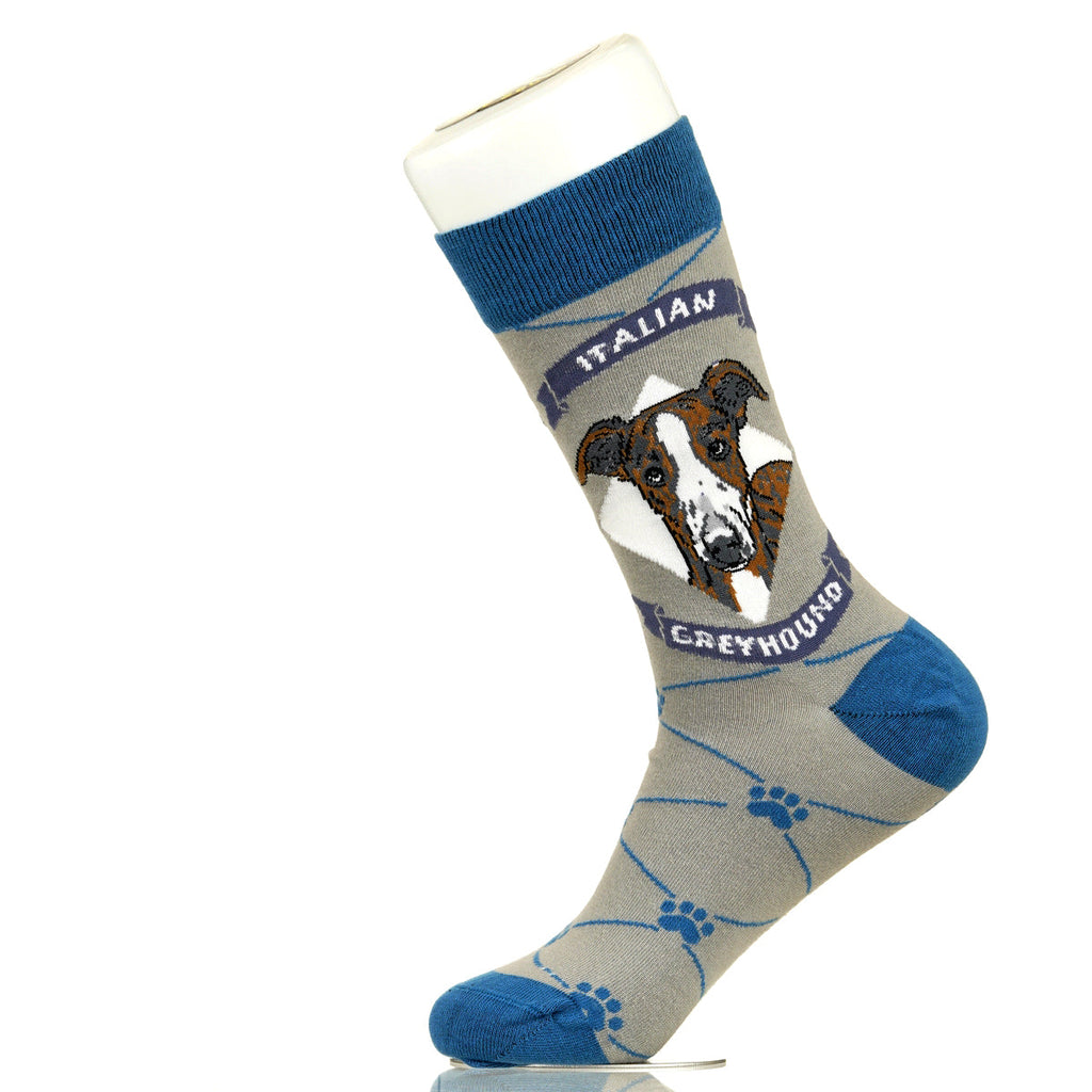 Italian Greyhound | Argyle Pups