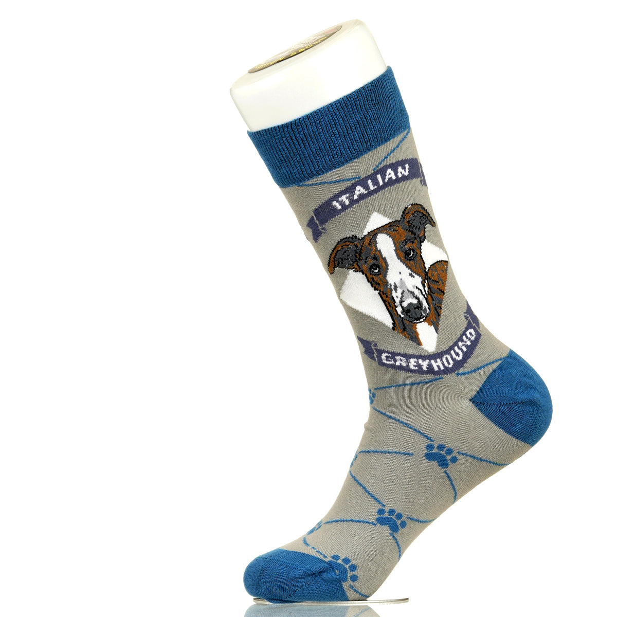 Italian Greyhound | Argyle Pups