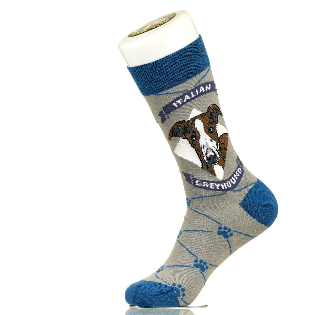 Italian Greyhound | Argyle Pups