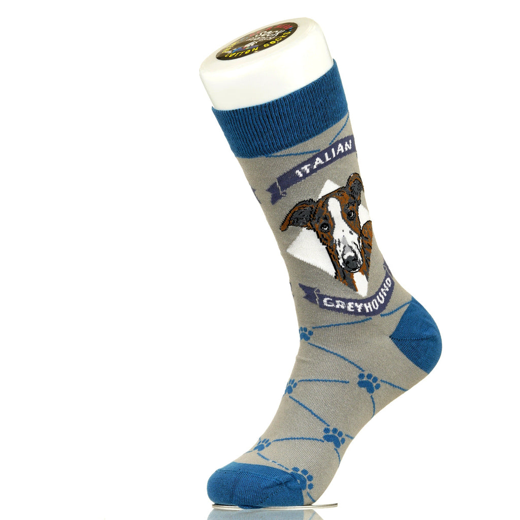 Italian Greyhound | Argyle Pups