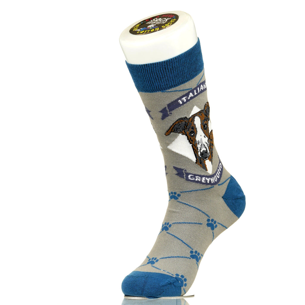 Italian Greyhound | Argyle Pups