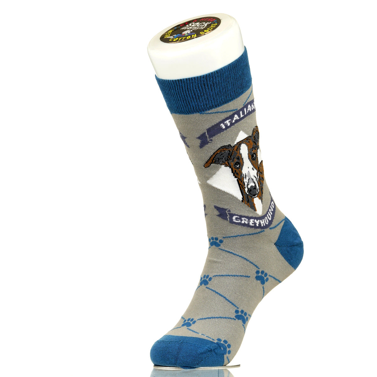 Italian Greyhound | Argyle Pups