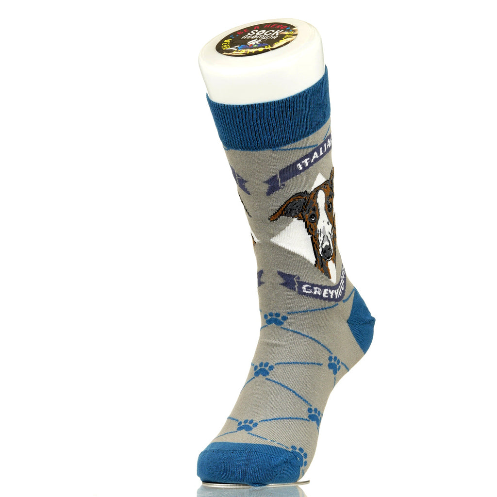 Italian Greyhound | Argyle Pups