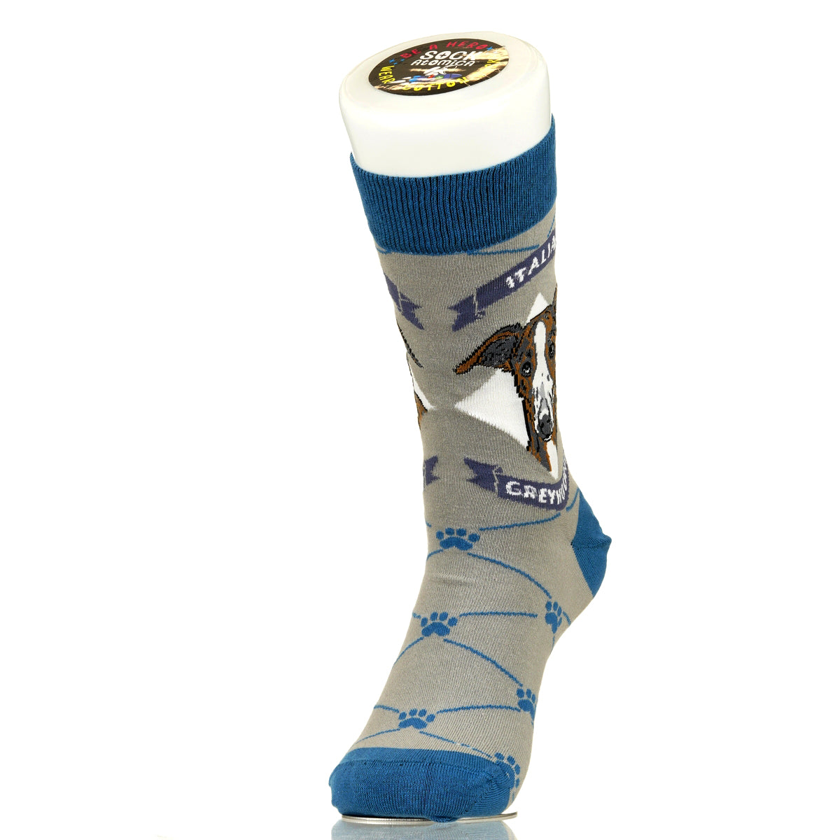 Italian Greyhound | Argyle Pups