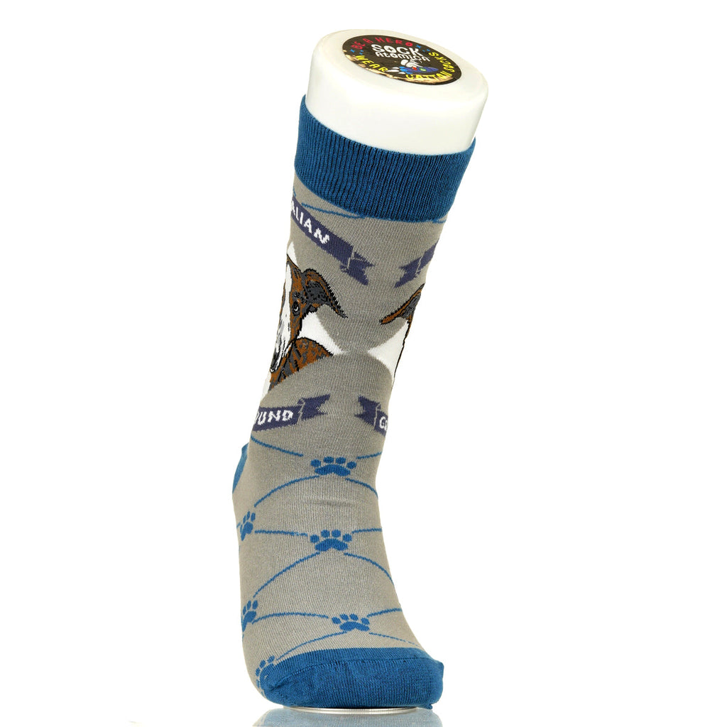 Italian Greyhound | Argyle Pups