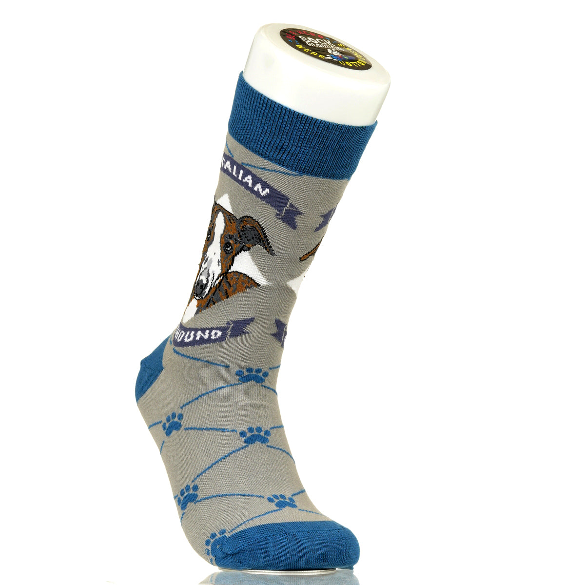 Italian Greyhound | Argyle Pups