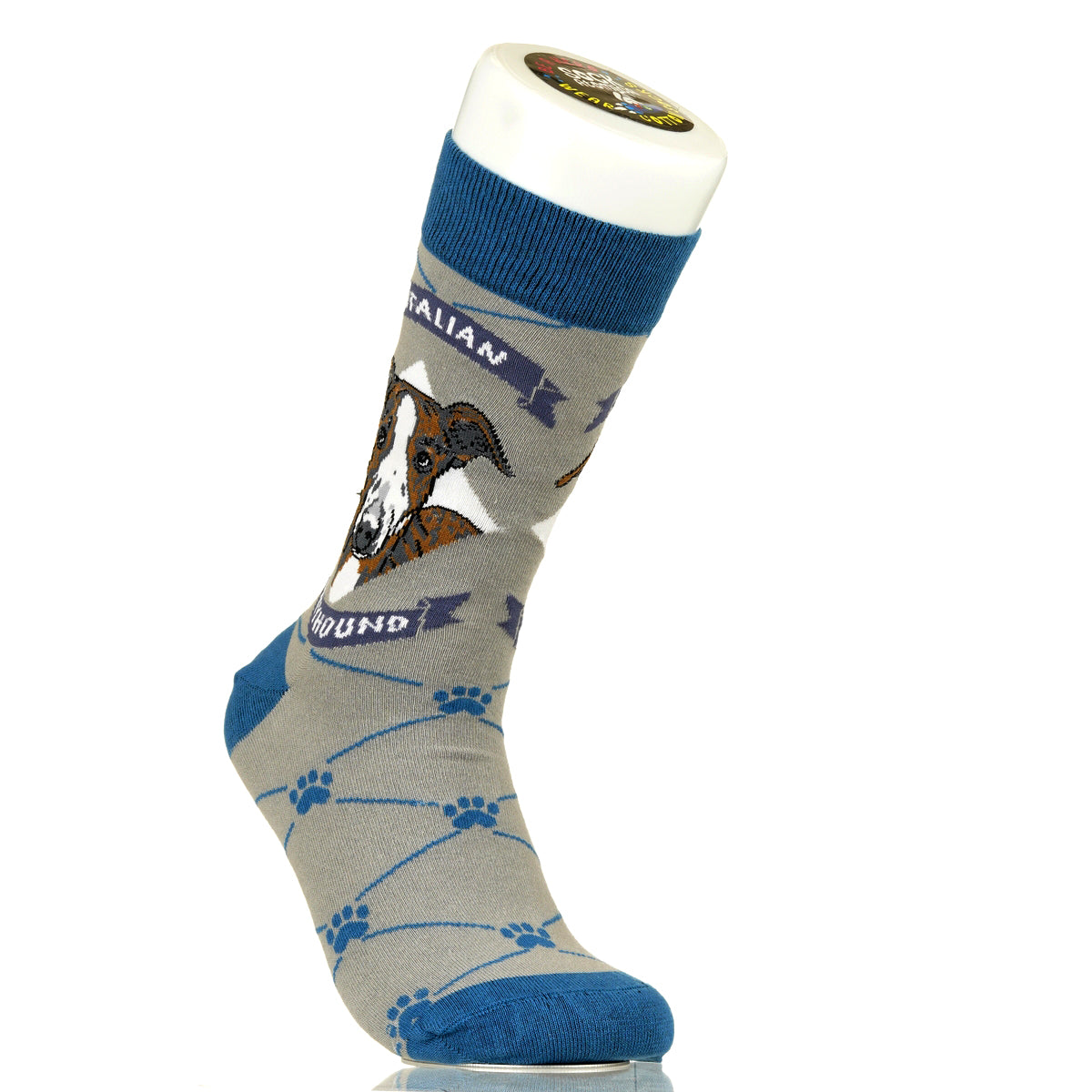 Italian Greyhound | Argyle Pups