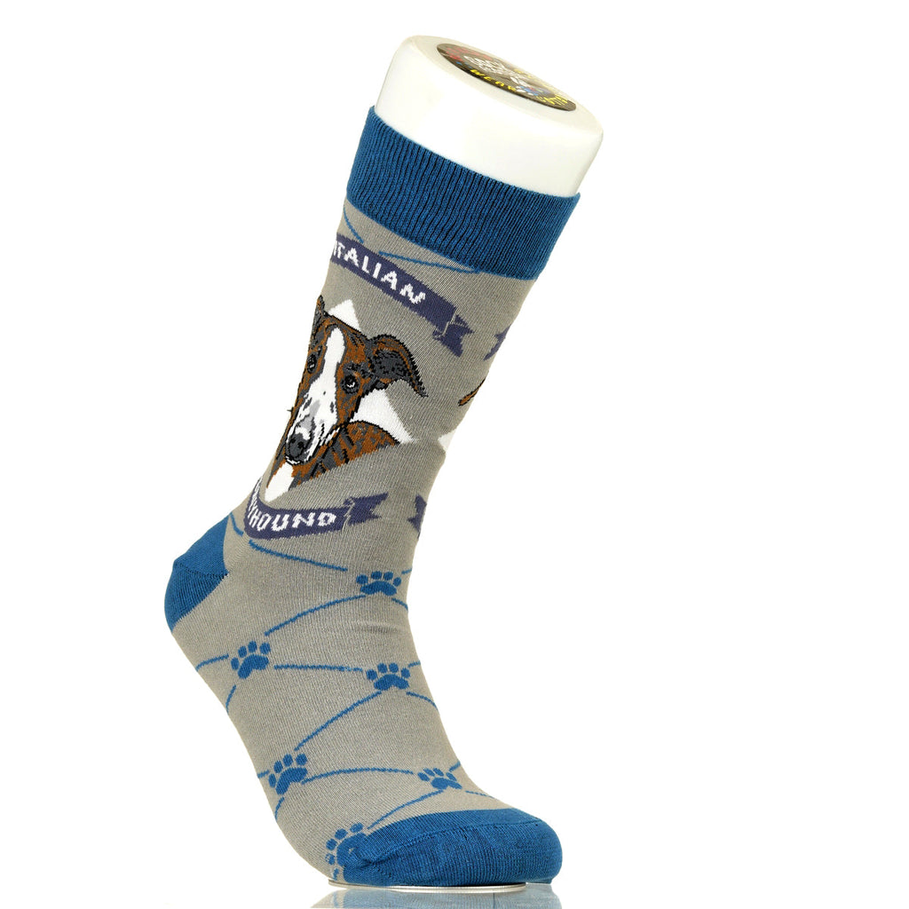 Italian Greyhound | Argyle Pups