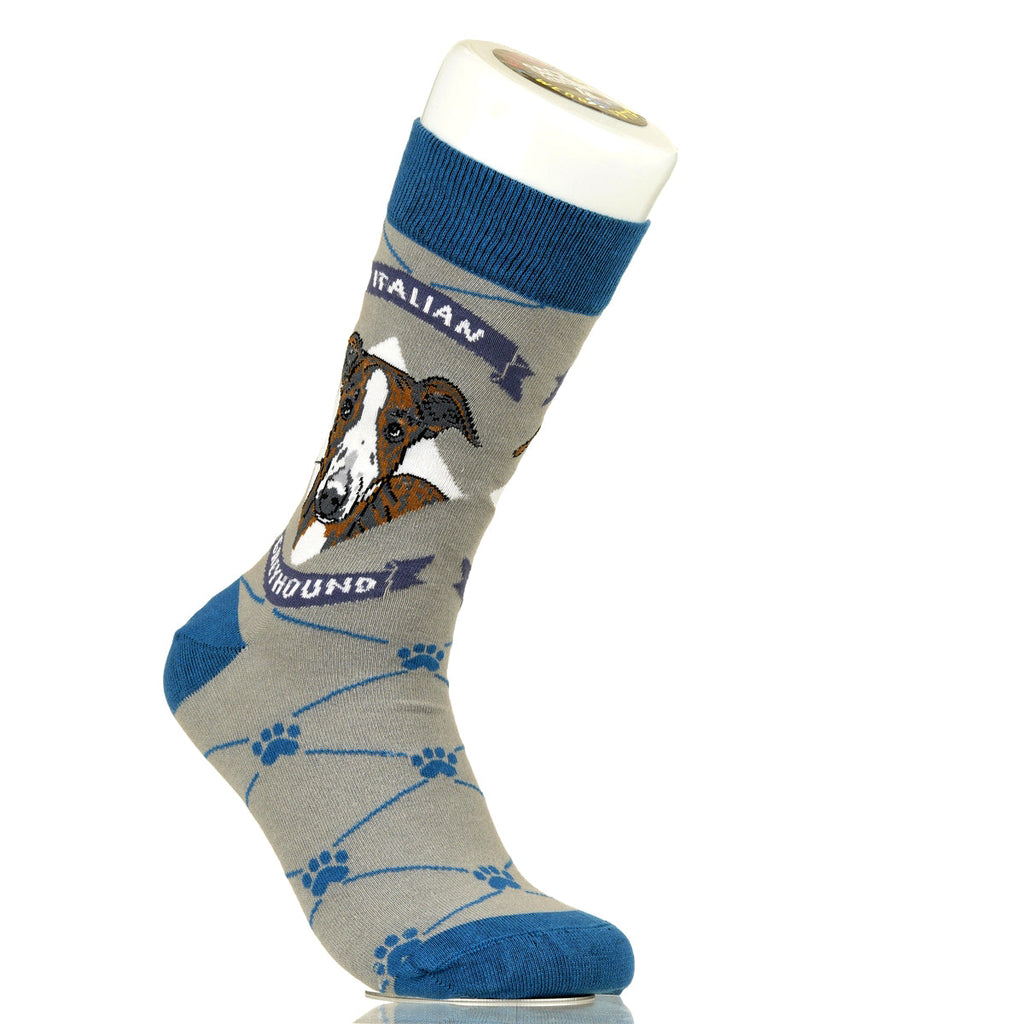 Italian Greyhound | Argyle Pups