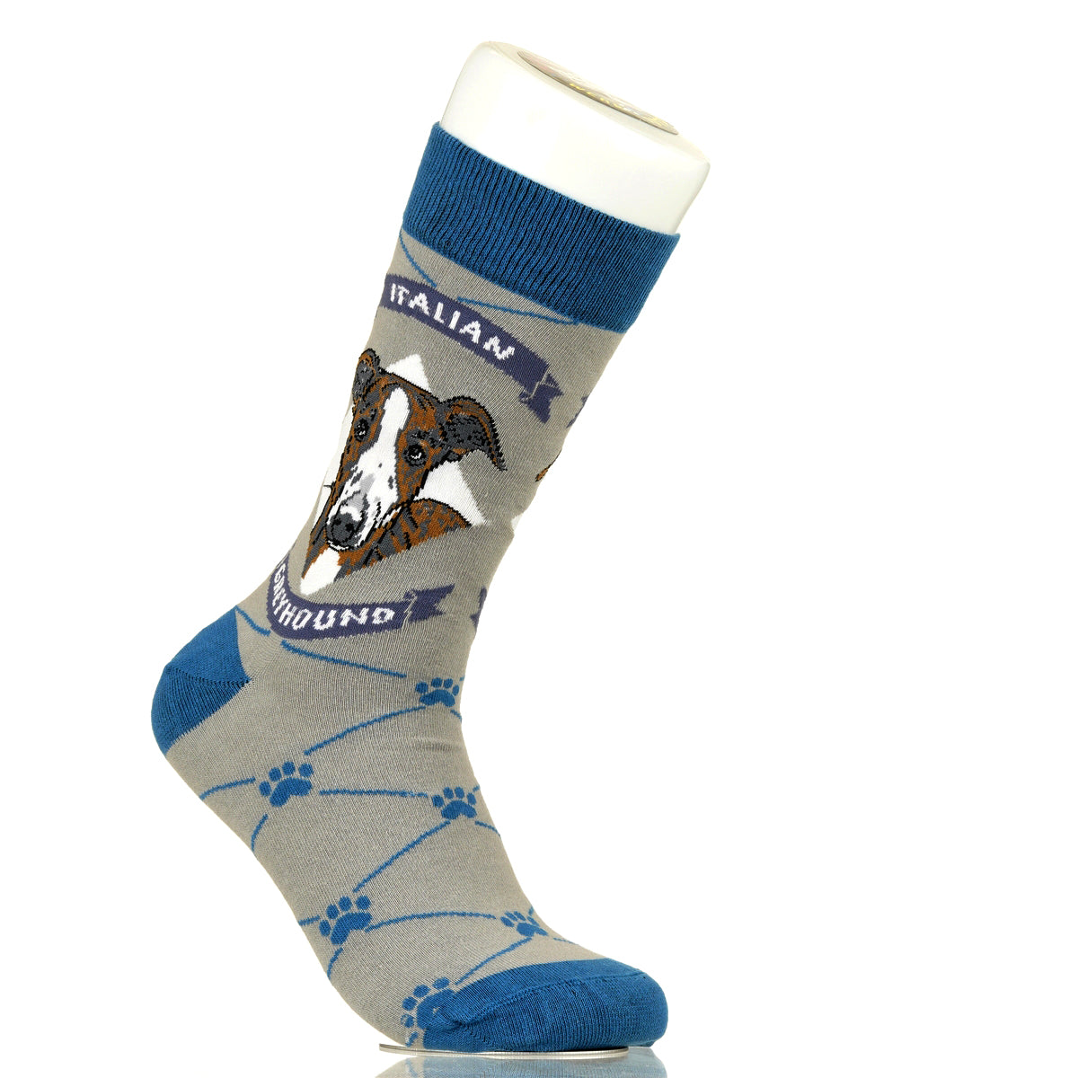 Italian Greyhound | Argyle Pups