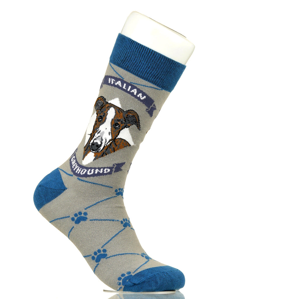 Italian Greyhound | Argyle Pups