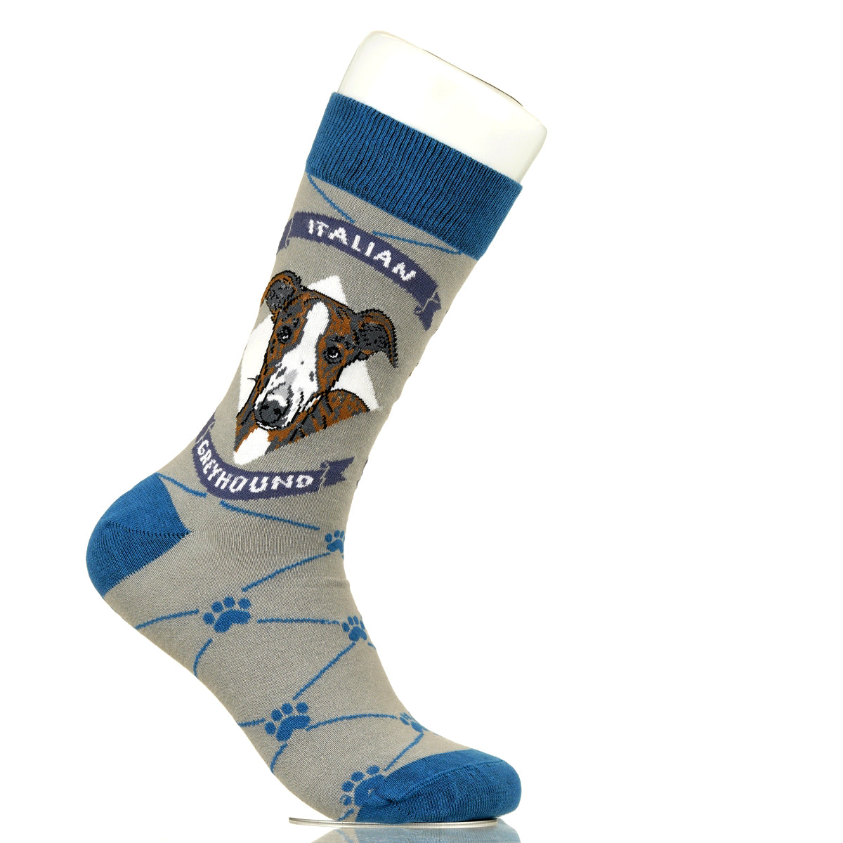 Italian Greyhound | Argyle Pups