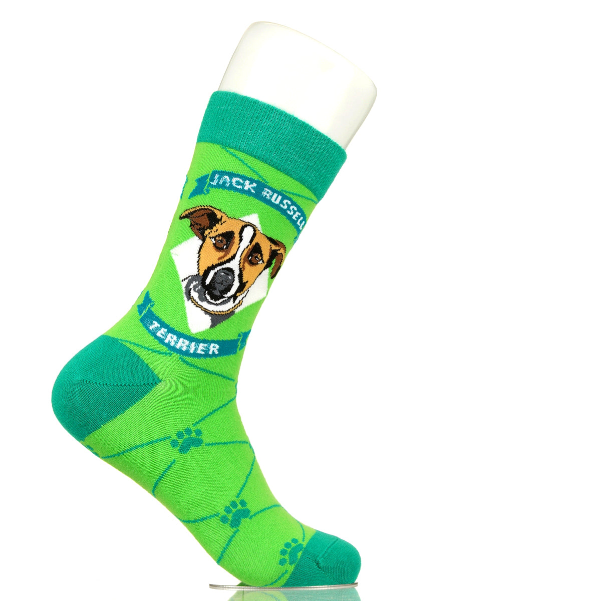 Jack Russell Terrier | Argyle Pups