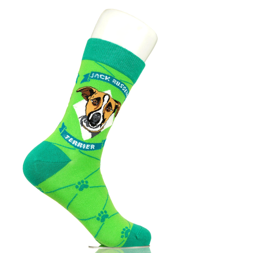 Jack Russell Terrier | Argyle Pups