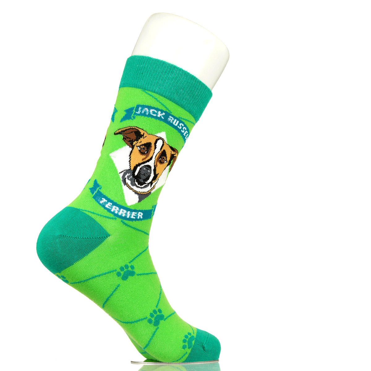 Jack Russell Terrier | Argyle Pups