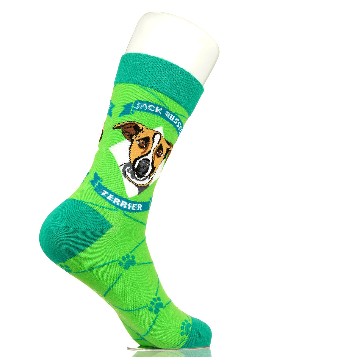 Jack Russell Terrier | Argyle Pups