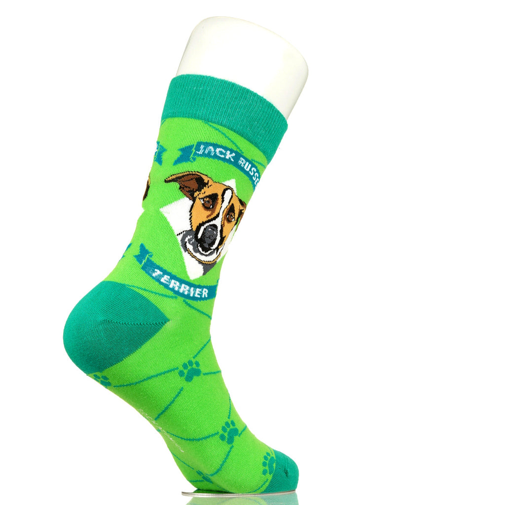 Jack Russell Terrier | Argyle Pups