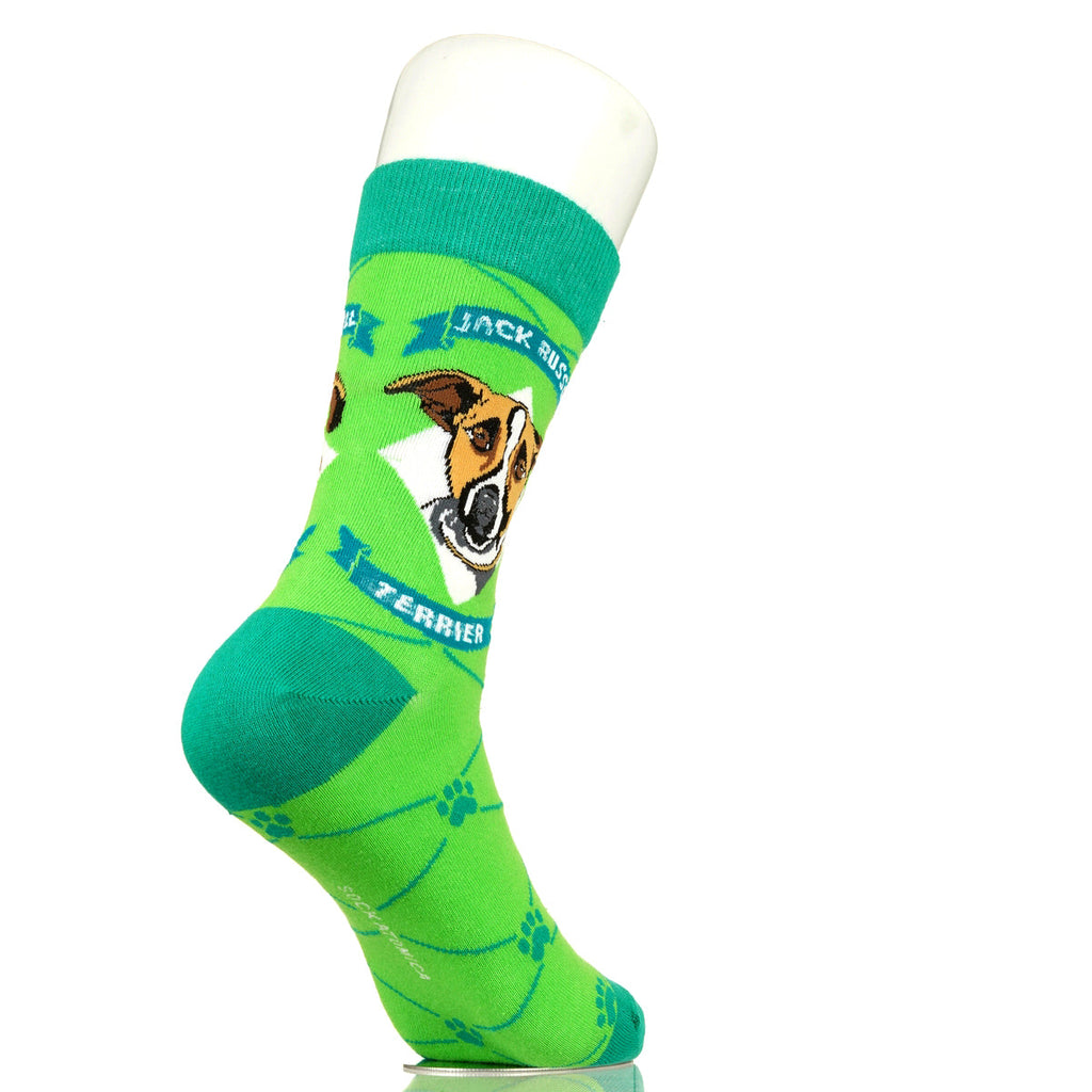 Jack Russell Terrier | Argyle Pups