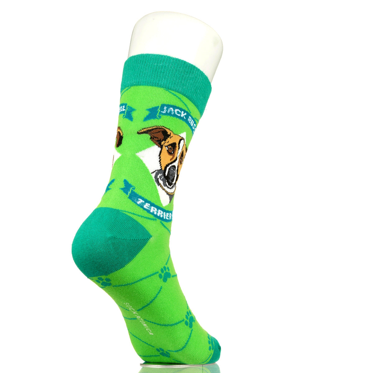 Jack Russell Terrier | Argyle Pups