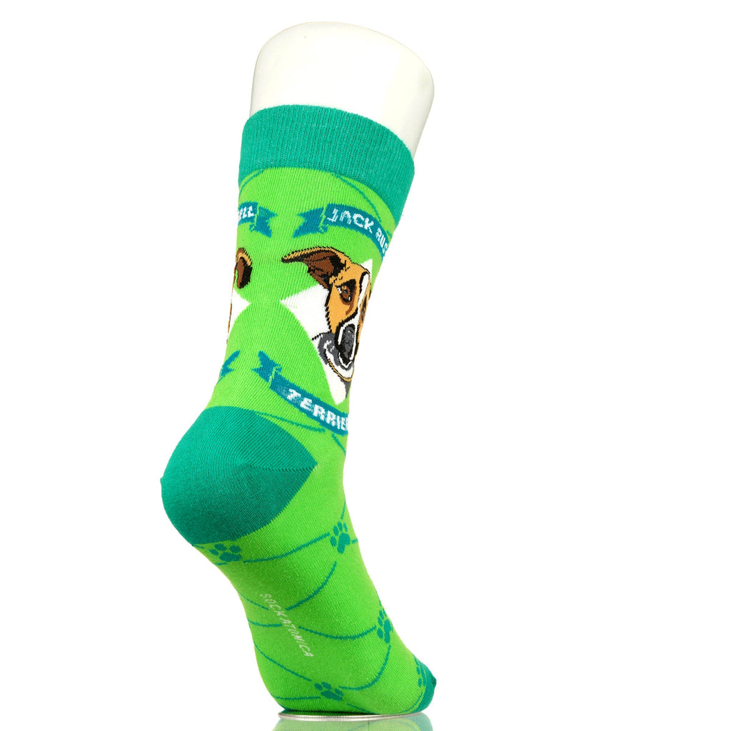 Jack Russell Terrier | Argyle Pups