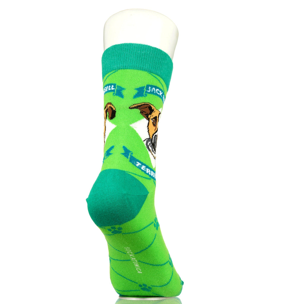 Jack Russell Terrier | Argyle Pups