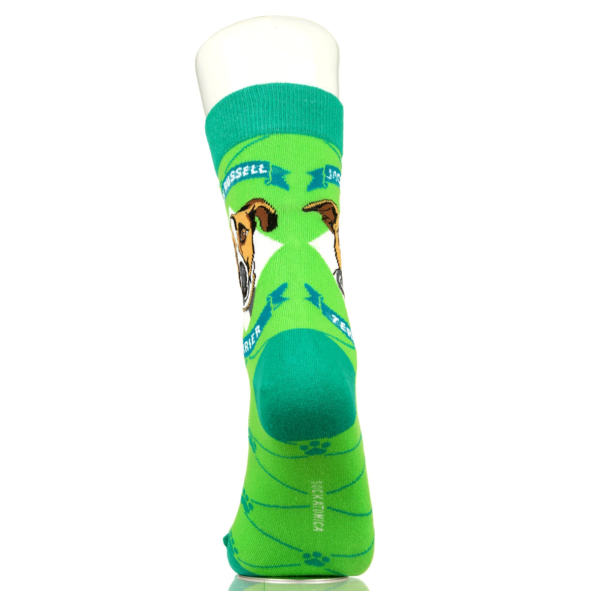 Jack Russell Terrier | Argyle Pups