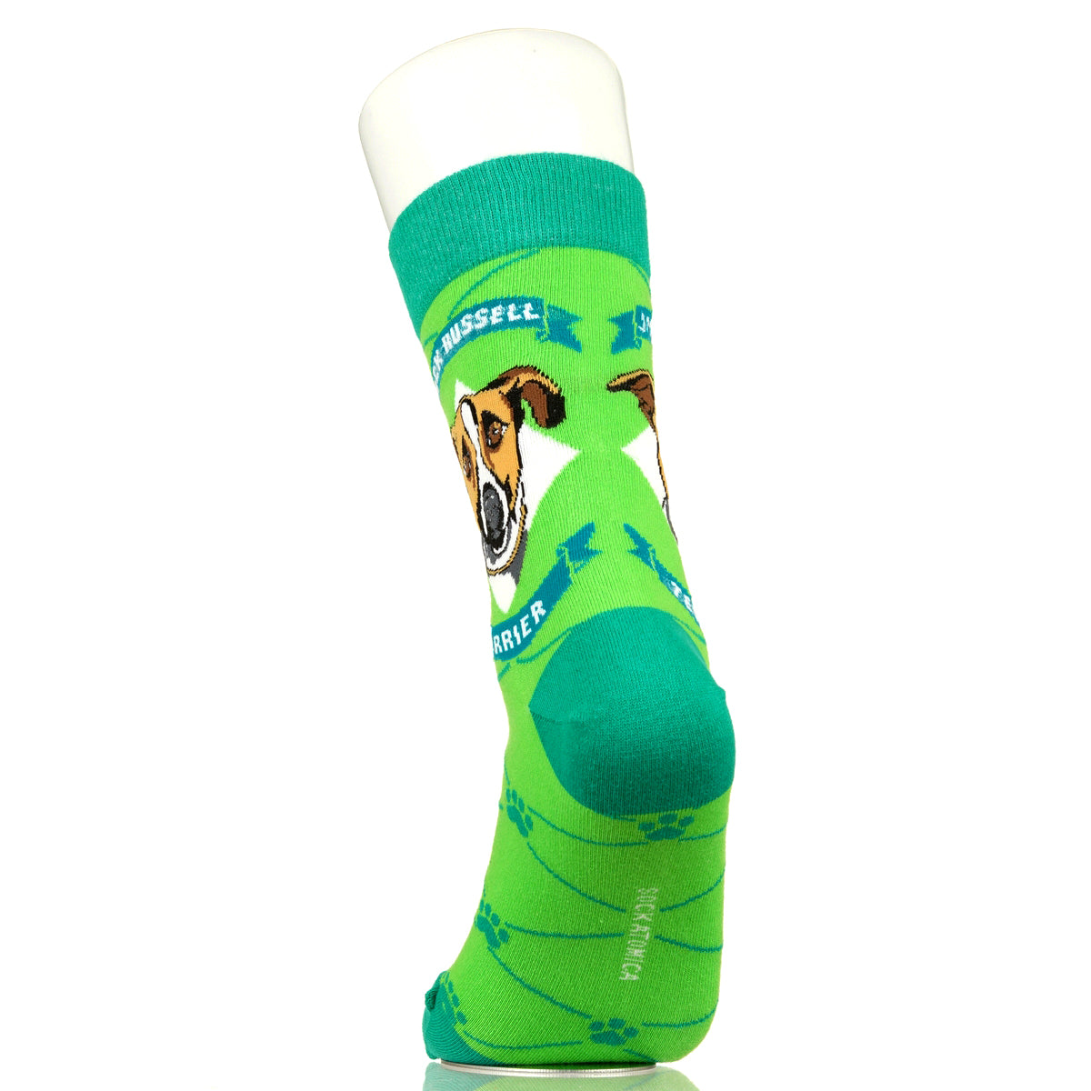 Jack Russell Terrier | Argyle Pups