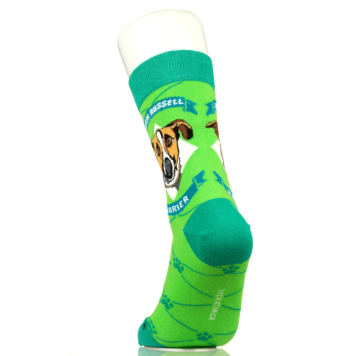 Jack Russell Terrier | Argyle Pups