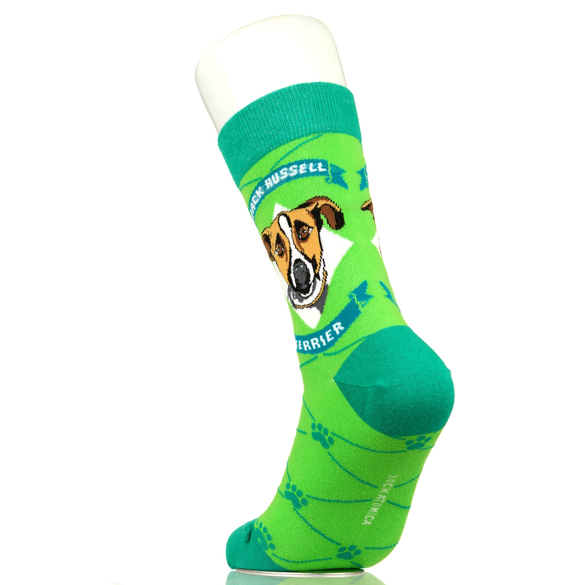 Jack Russell Terrier | Argyle Pups