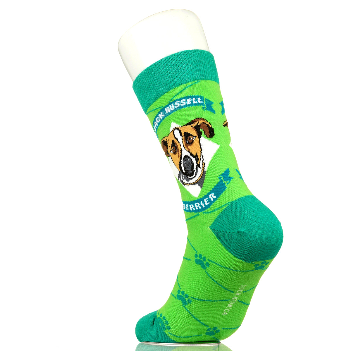 Jack Russell Terrier | Argyle Pups