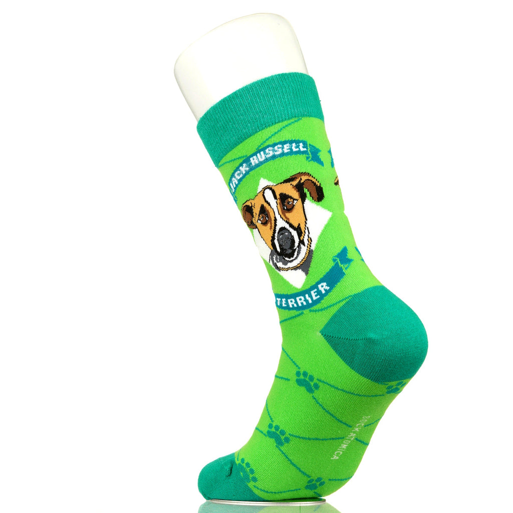 Jack Russell Terrier | Argyle Pups