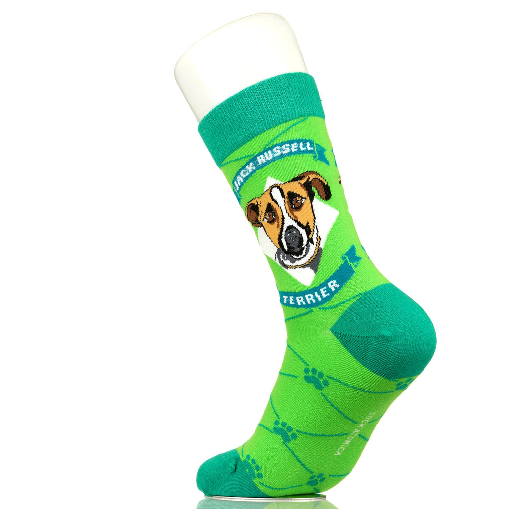 Jack Russell Terrier | Argyle Pups