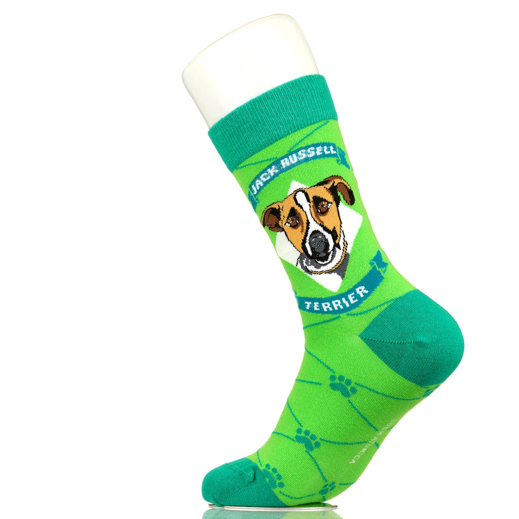 Jack Russell Terrier | Argyle Pups