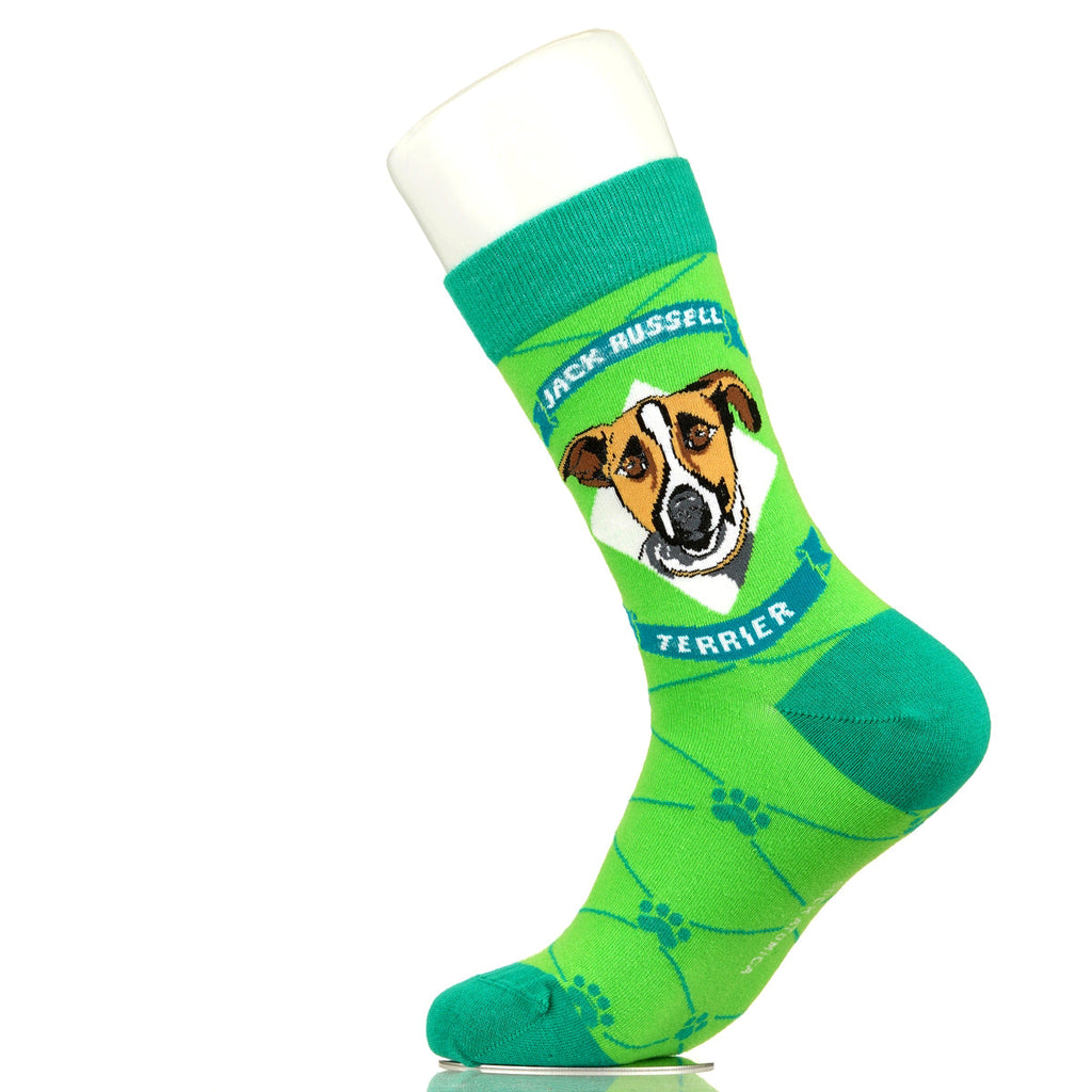 Jack Russell Terrier | Argyle Pups