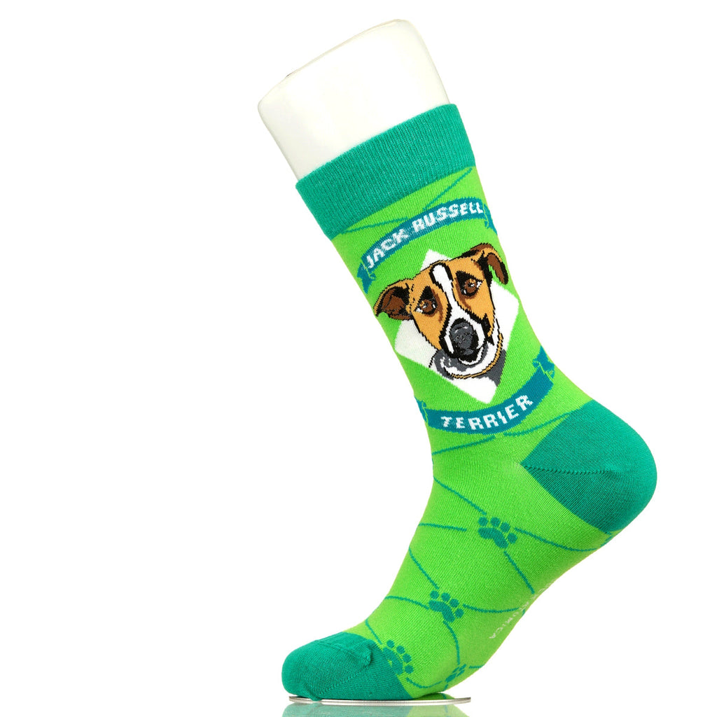 Jack Russell Terrier | Argyle Pups