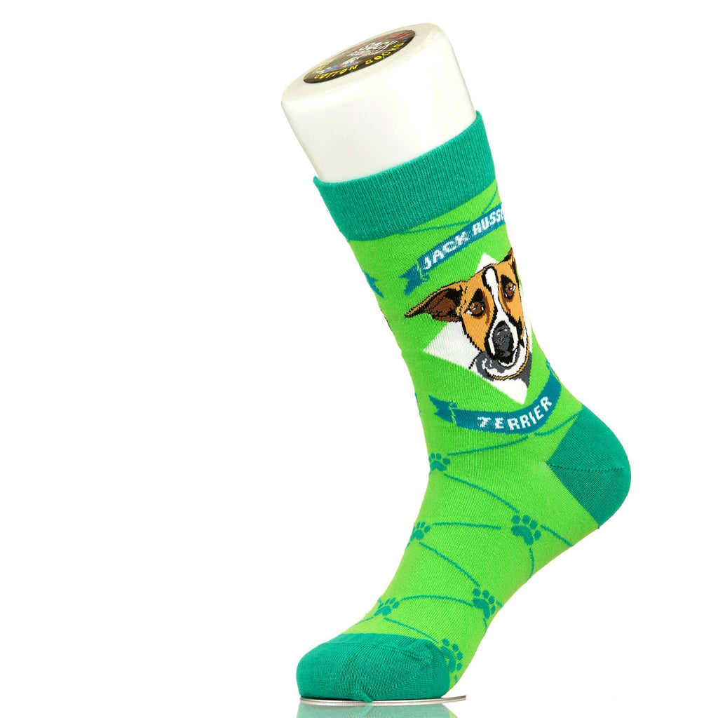 Jack Russell Terrier | Argyle Pups