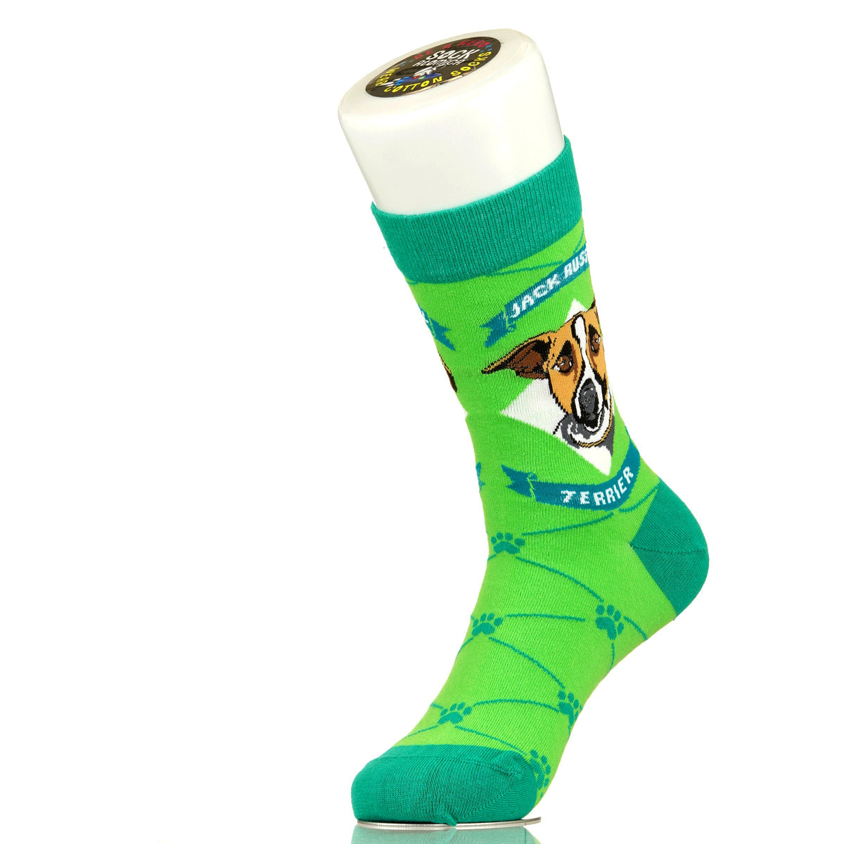 Jack Russell Terrier | Argyle Pups