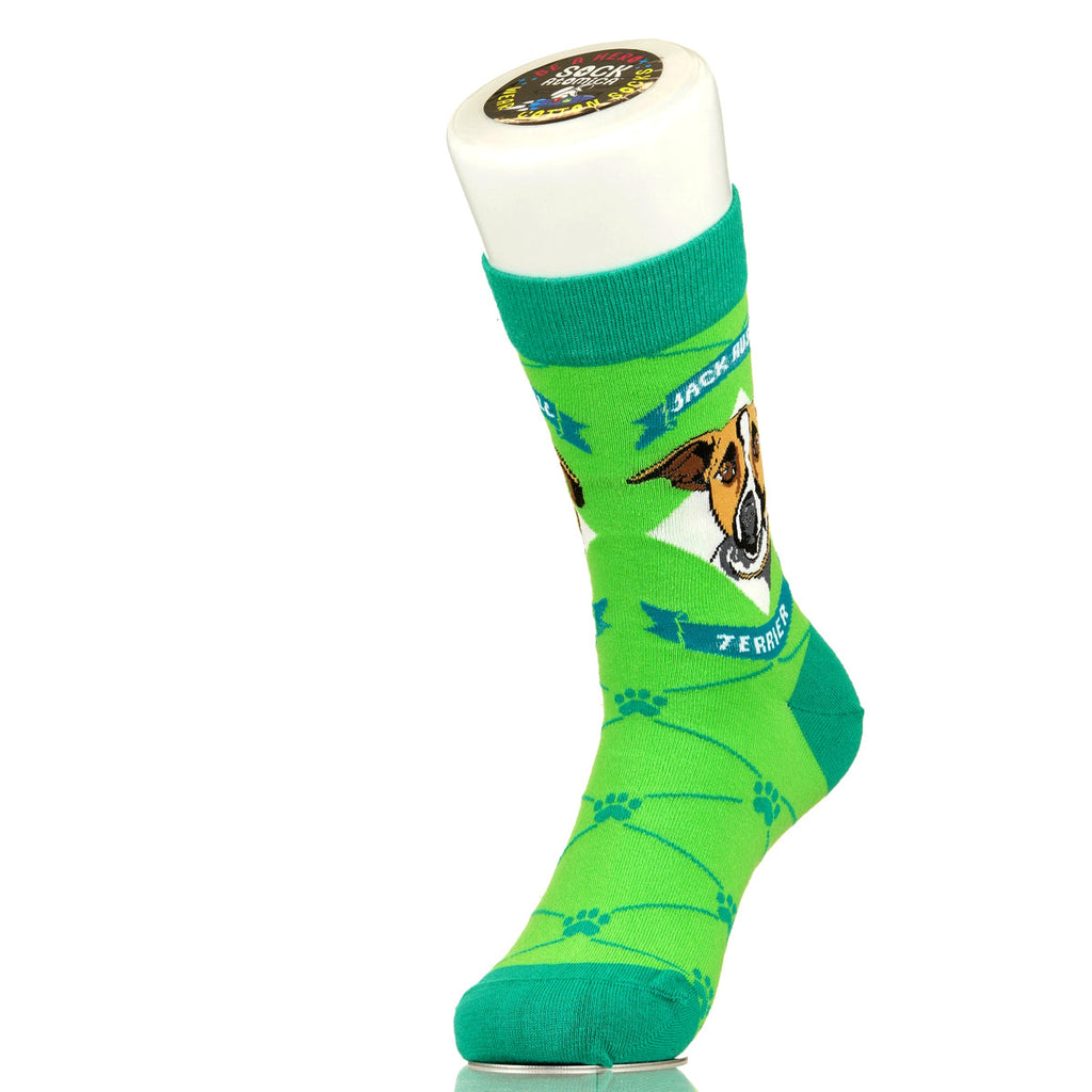 Jack Russell Terrier | Argyle Pups